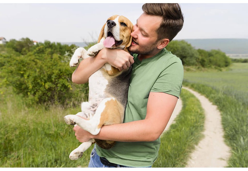 Why Do Dogs Bury Bones and Other Goodies? Why Do Dogs Bury Bones and Other Goodies?