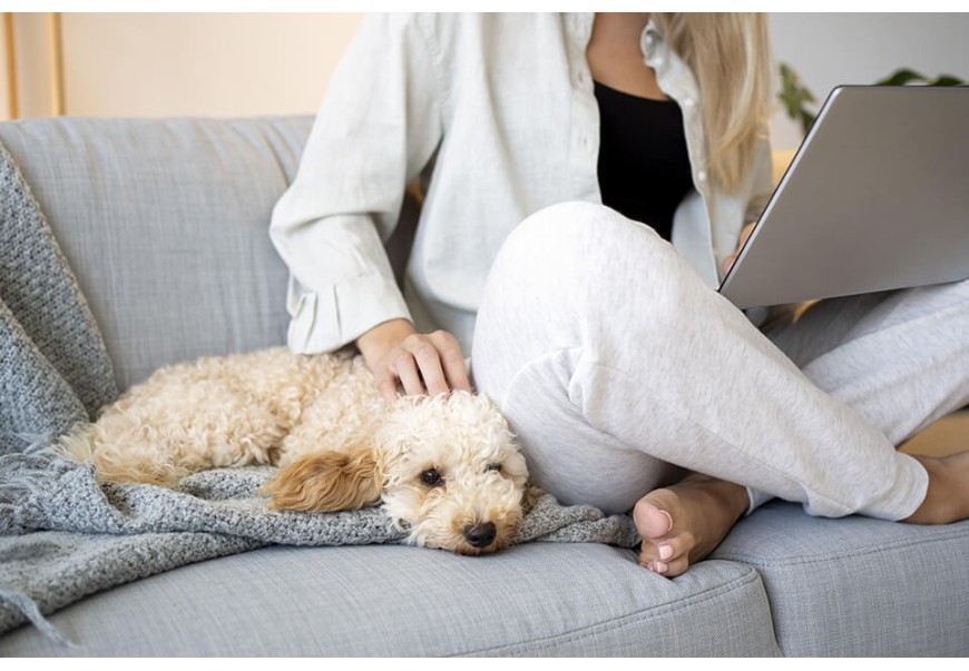 Dog Grooming Costs and How Much to Tip Your Dog Groomer Dog Grooming Costs and How Much to Tip Your Dog Groomer