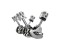 Engine & Drivetrain