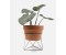 Furniture & Decors Furniture & Decors
