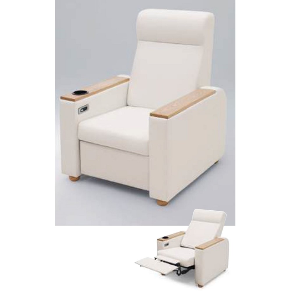1人電動坐臥兩用沙發床椅 CST-209I
