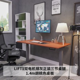 樂歌實木電動升降桌家居書桌站立辦公臺式電腦臺工作電腦桌E3/E4